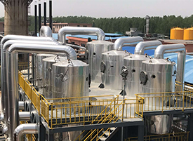 氯化鈉蒸發(fā)結(jié)晶器